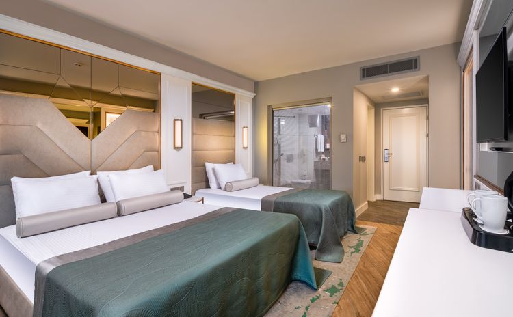 DELUXE ROOM PARTIAL VIEW