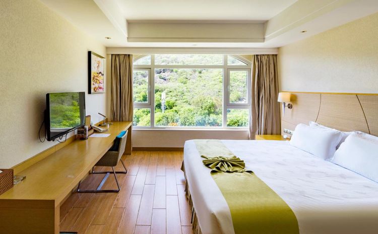 Deluxe Mountain View Room