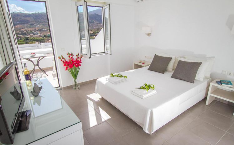 Double Mountain or Garden View